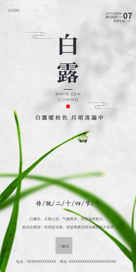白露海报寒微信微信稿雨水
