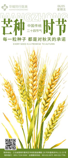 芒种宣传海报 