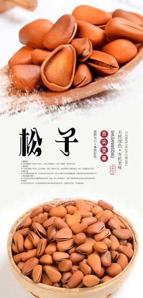 松子坚果海报