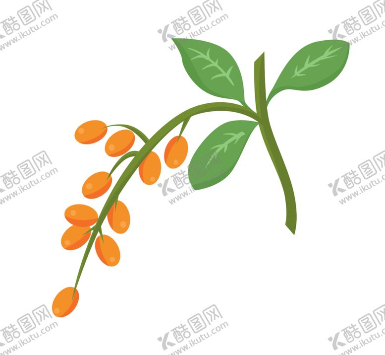 编号：97713107050141491324【酷图网】源文件下载-一支手绘枸杞