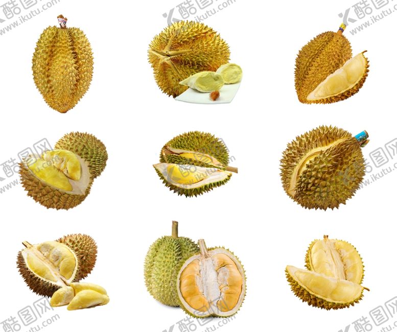 编号：99299309120652435770【酷图网】源文件下载-榴莲