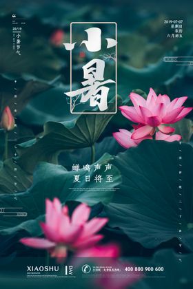 小暑节气