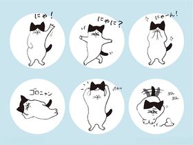 可爱猫咪表情包集合