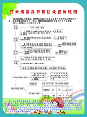 狂犬病暴露后预防处置流程图