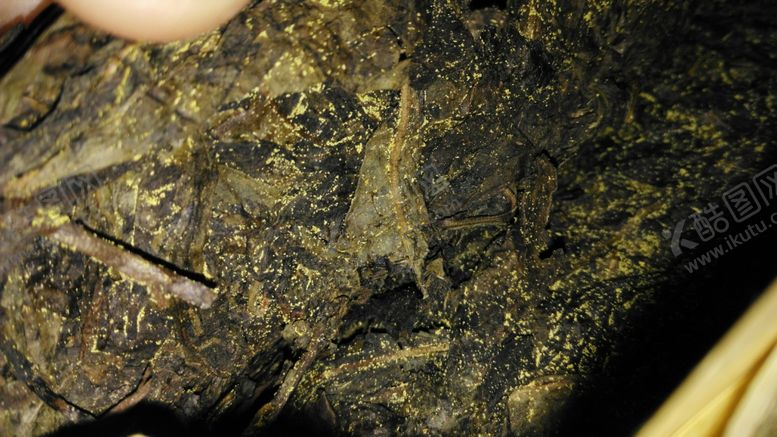 编号：94983211271258396901【酷图网】源文件下载-黑茶茯砖金花