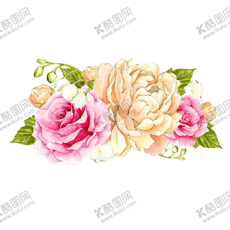 编号：55055507080854045321【酷图网】源文件下载-牡丹花