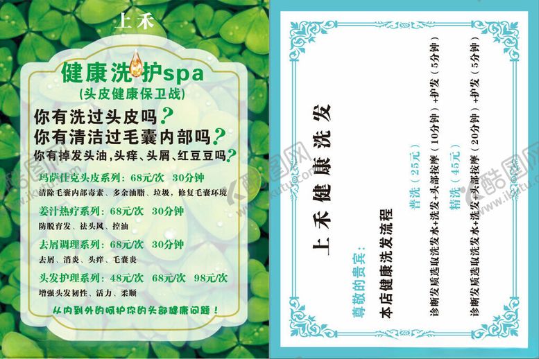 编号：83726011171259112223【酷图网】源文件下载-植物养护知识宣传页