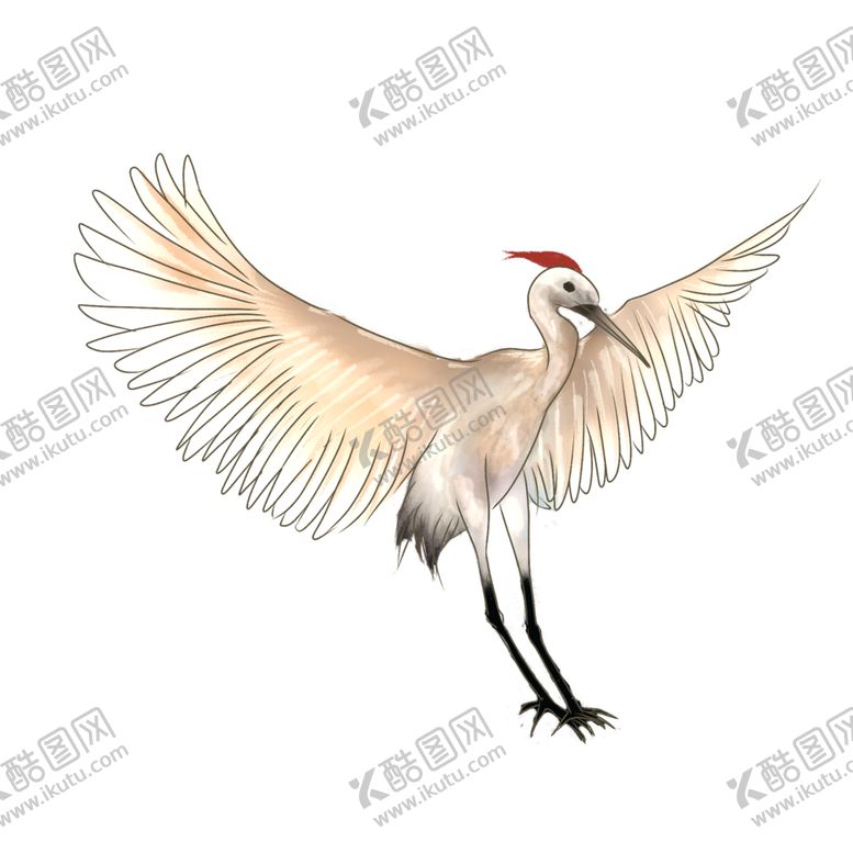 编号：52061105010856008647【酷图网】源文件下载-仙鹤元素