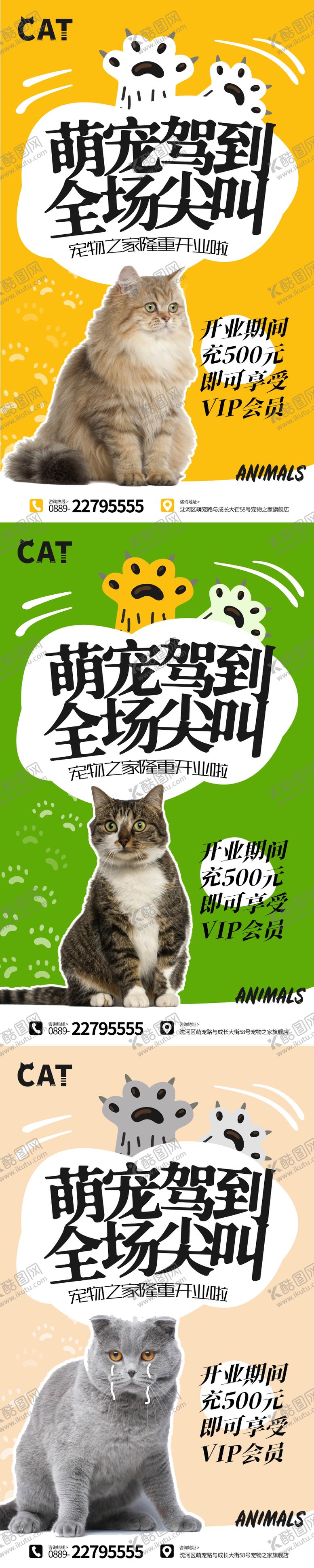 编号：89464311260320357366【酷图网】源文件下载-萌宠驾到开业海报