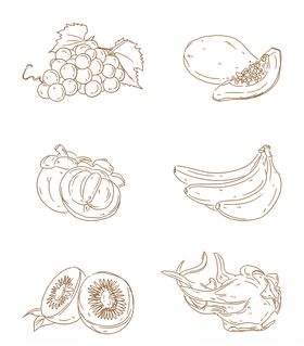 时尚线条手绘水果