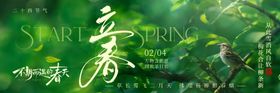 立春实景绿色植物鸟节气横板海报