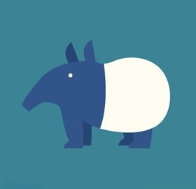动物