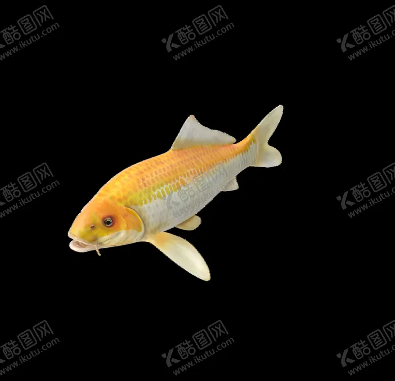 编号：89266806260215333999【酷图网】源文件下载-海洋生物