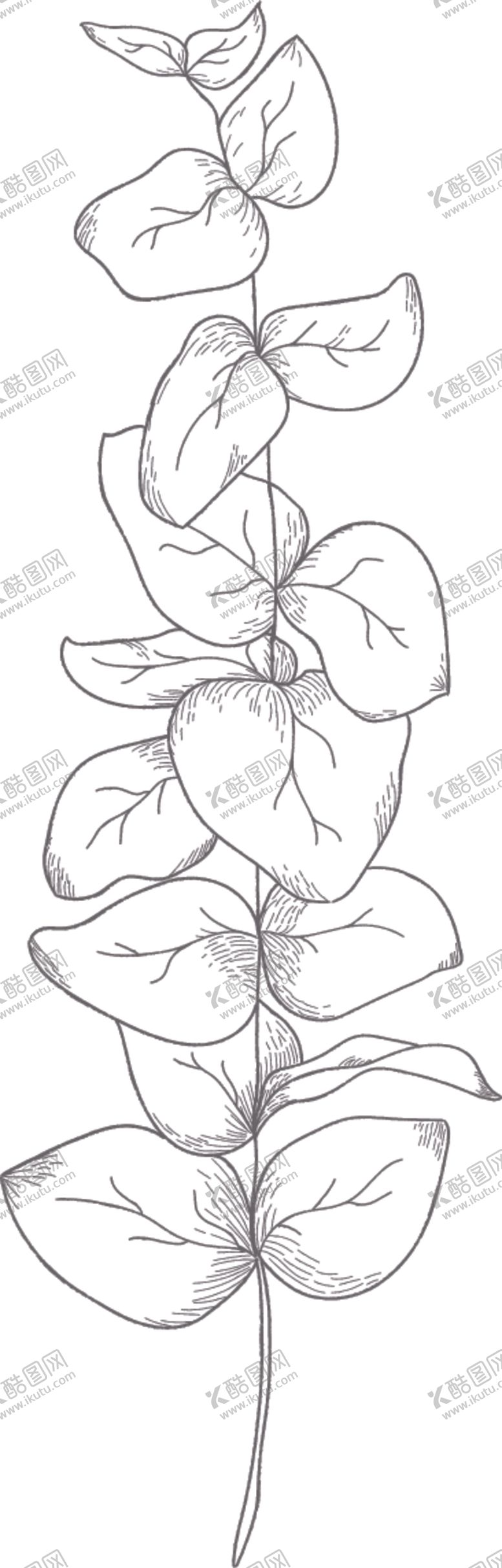 编号：51012209180428592394【酷图网】源文件下载-线稿图绘画植物花朵
