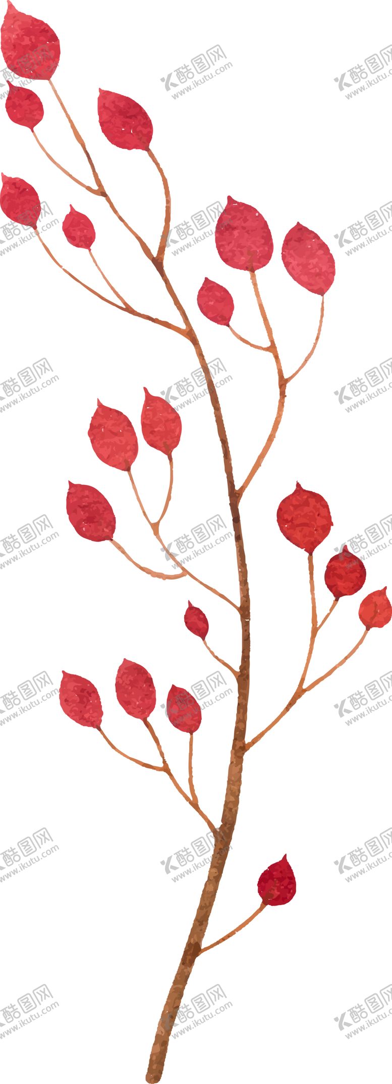 编号：45518409221623533598【酷图网】源文件下载-水彩植物