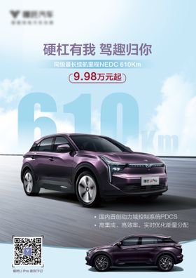 汽车价格海报