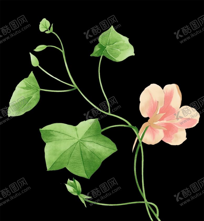 编号：91451109191346052409【酷图网】源文件下载-花藤素材图片