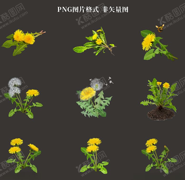 编号：34026004242314443870【酷图网】源文件下载-蒲公英素材