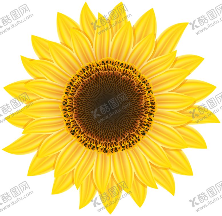 编号：98814509200846097706【酷图网】源文件下载-向日葵