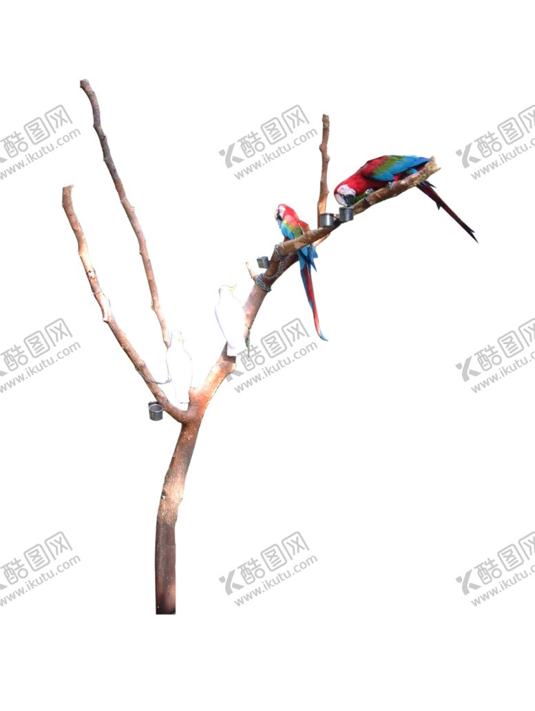 编号：31892104290958136461【酷图网】源文件下载-冬树枯树造型树干树树