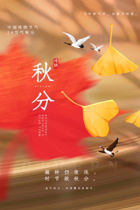 秋分招贴丰收设