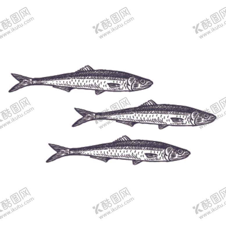 编号：78256405142206088412【酷图网】源文件下载-餐饮食物插画元素