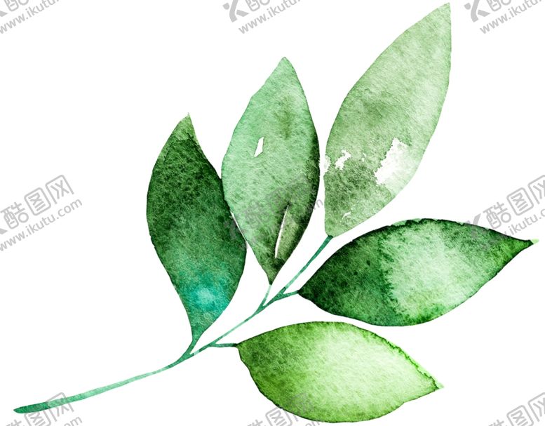 编号：63739209211121429587【酷图网】源文件下载-树叶