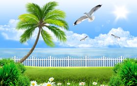 蓝天白云椰子树