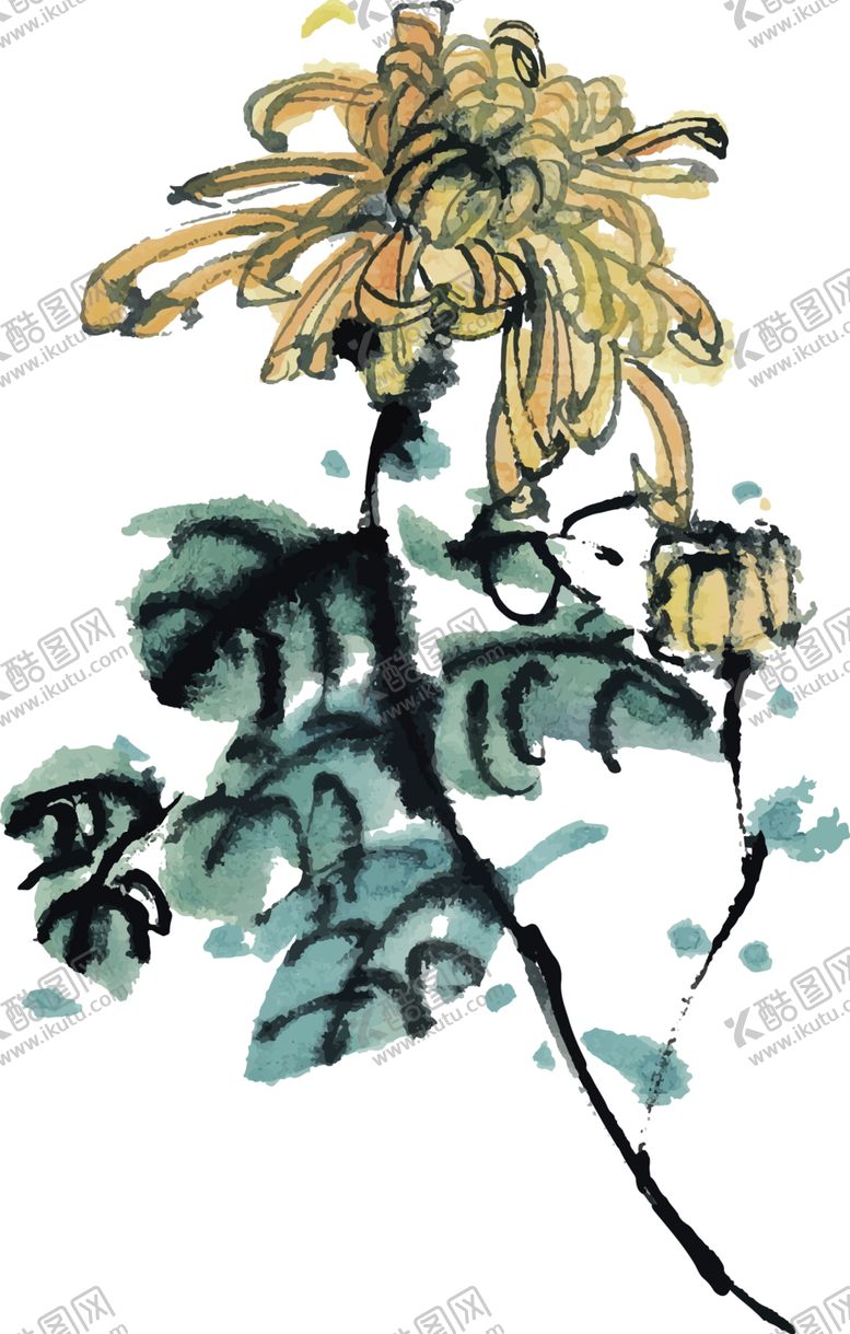 编号：11200410300010374521【酷图网】源文件下载-菊花素材