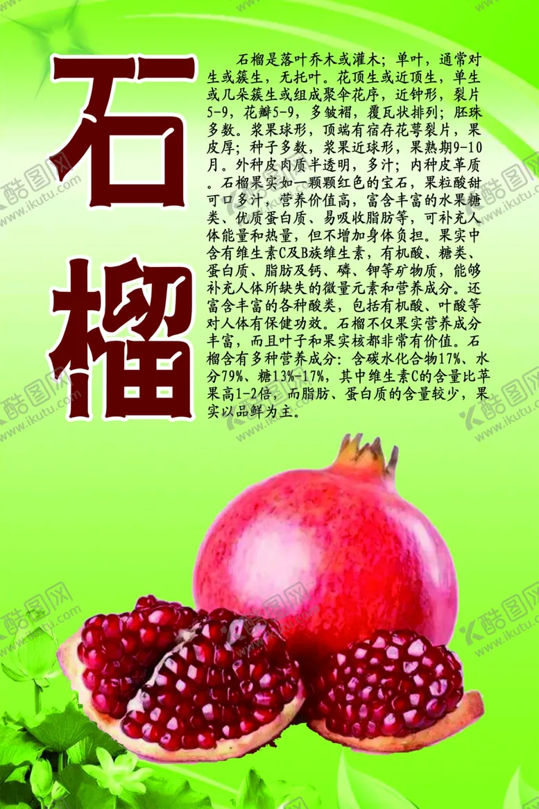 编号：60529207020222035193【酷图网】源文件下载-水果文化系列之石榴