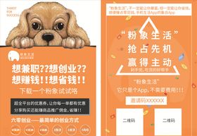 粉象生活宣传单