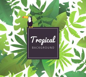 彩绘热带花鸟矢量素材