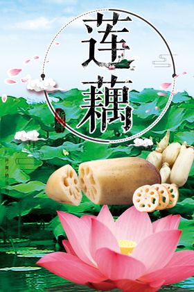 洪湖藕王名片