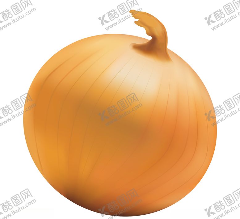 编号：72331105070240292030【酷图网】源文件下载-矢量手绘洋葱