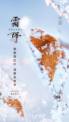 霜降节气水墨海报