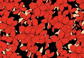 女装花
