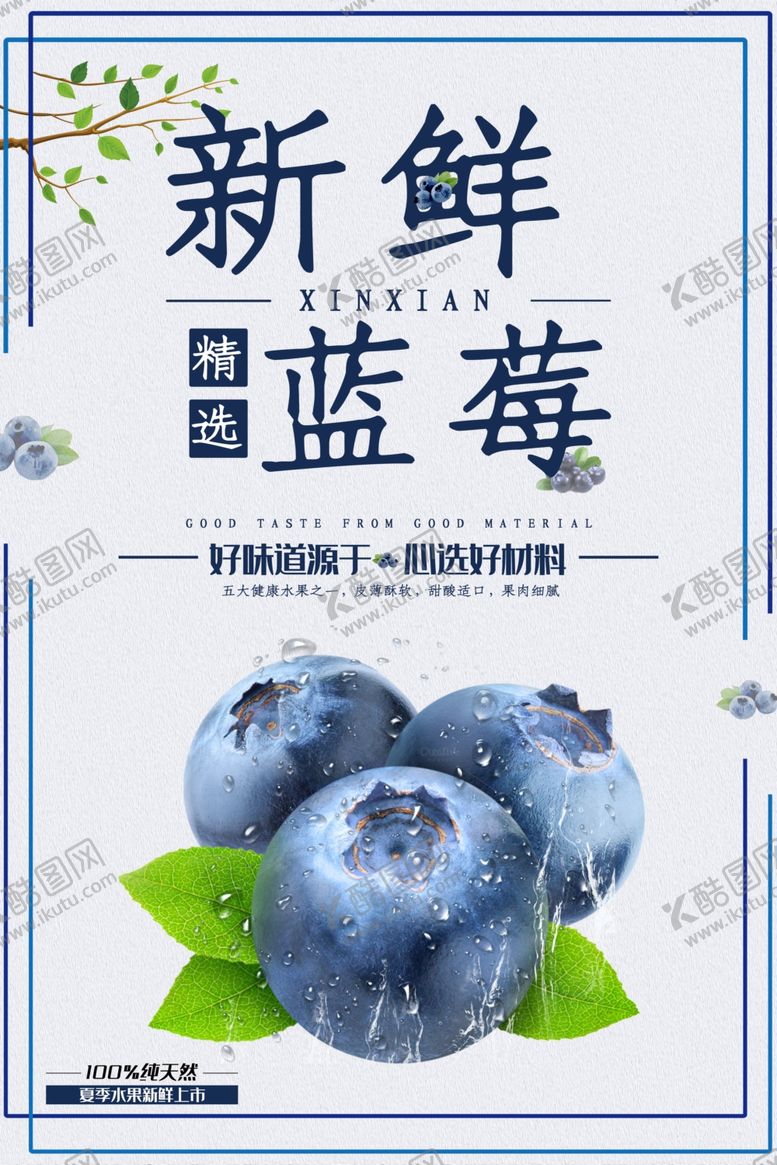 编号：68006707130845413535【酷图网】源文件下载-新鲜蓝莓