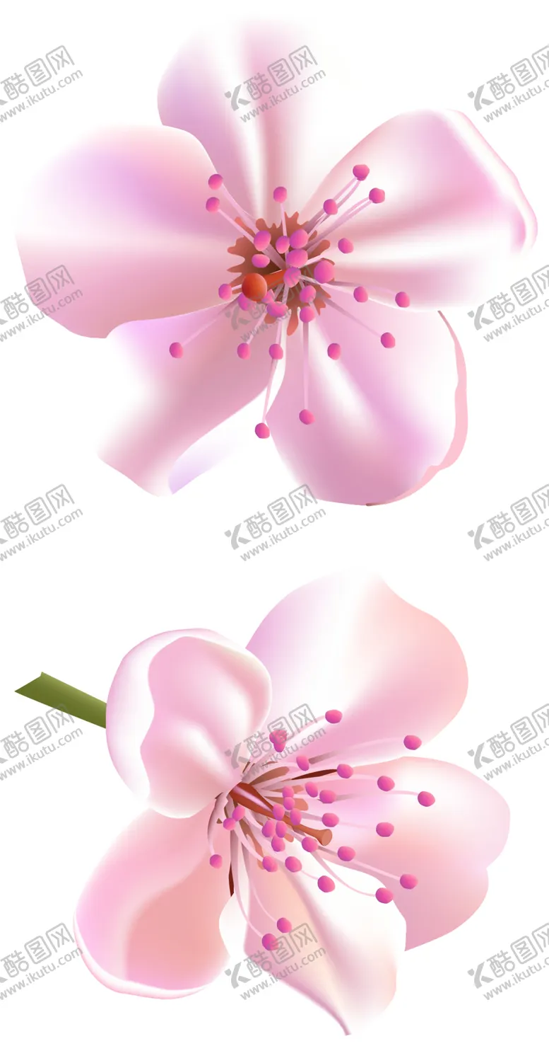 编号：54372506281407017157【酷图网】源文件下载-数码印花