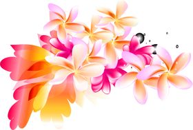 鲜花装饰