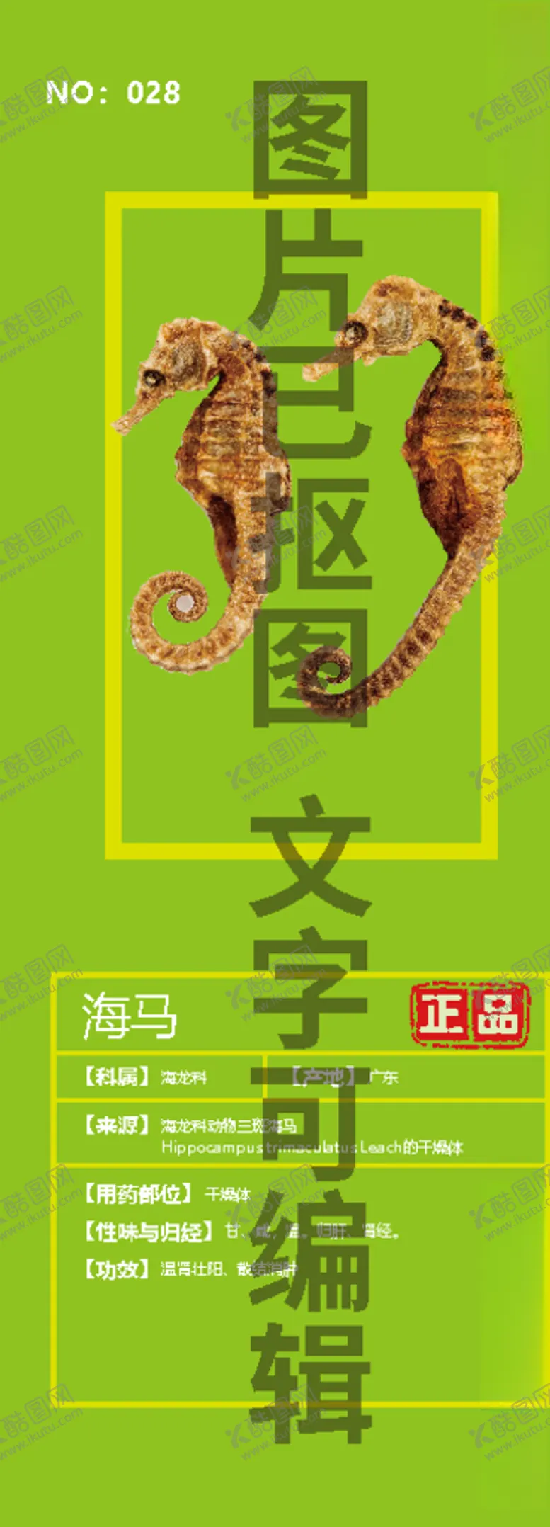 编号：31544104161923344348【酷图网】源文件下载-海马