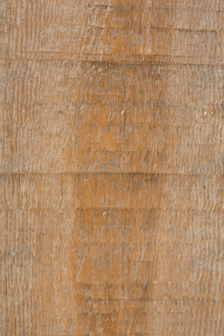 编号：74484509220949149657【酷图网】源文件下载-树皮