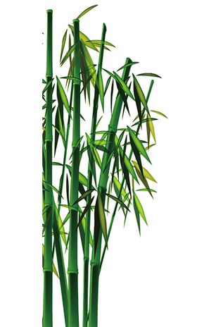 绿色装饰蔷薇植物树叶藤蔓免扣