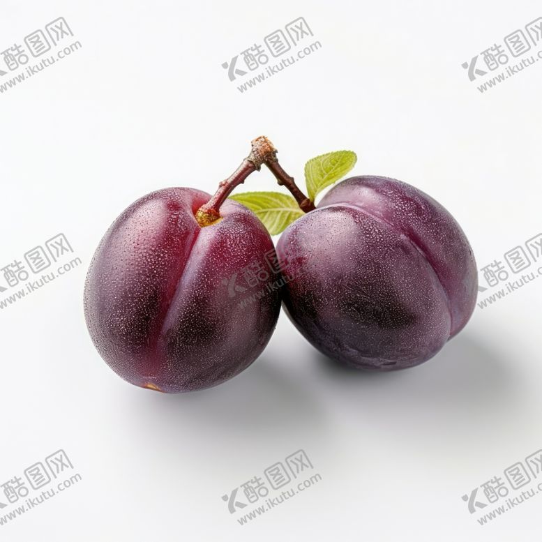 编号：94057412051005294494【酷图网】源文件下载-李子