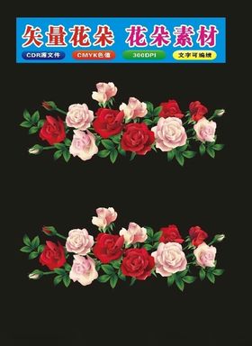 花植物和花朵