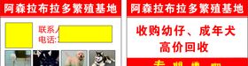 宠物狗名片