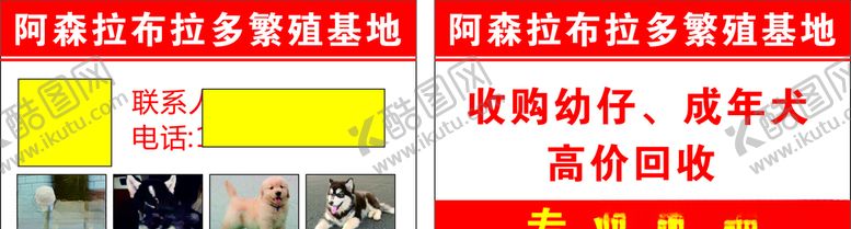 编号：22341410270948142463【酷图网】源文件下载-宠物狗名片
