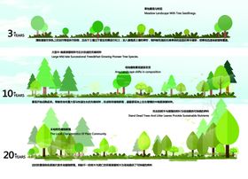 景观绿化园林植物剖立面图片
