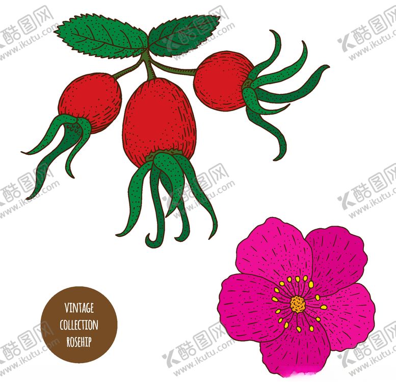 编号：41341410140045414928【酷图网】源文件下载-植物线稿