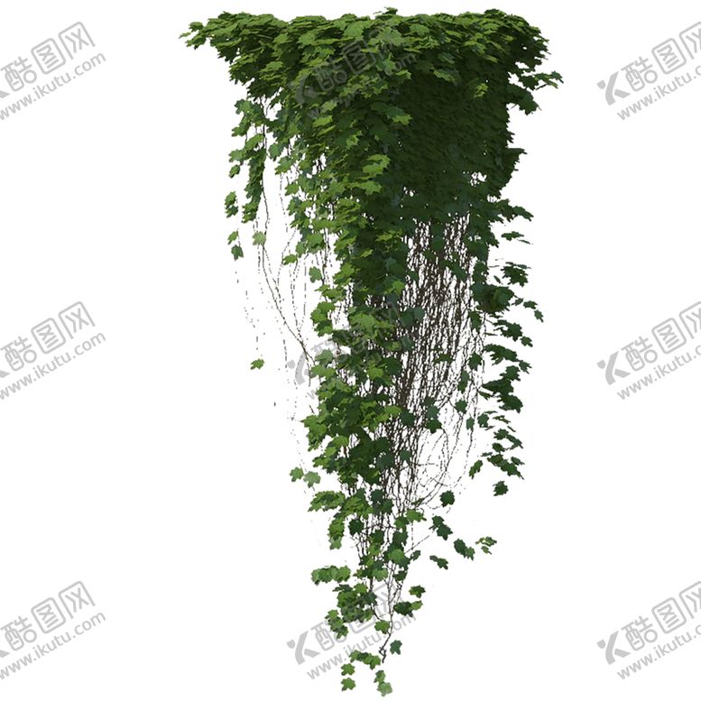 编号：17991510060741348482【酷图网】源文件下载-绿色相框