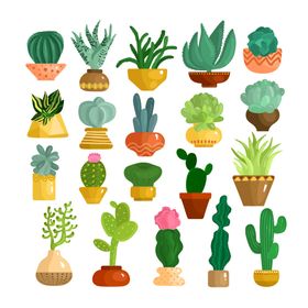 盆栽插画绿植花卉花草景